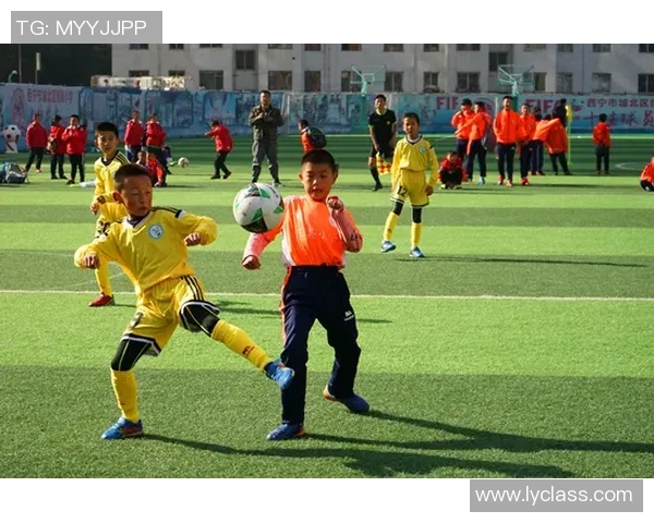 姓凪的足球明星如何在绿茵场上书写传奇人生与辉煌成就